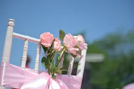 首个婚姻类本科今年招生 揭秘“高学历红娘”专业 | 青视角图片