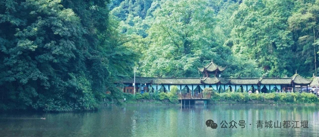 离开浪浪山，到成都的山里来浪一浪！