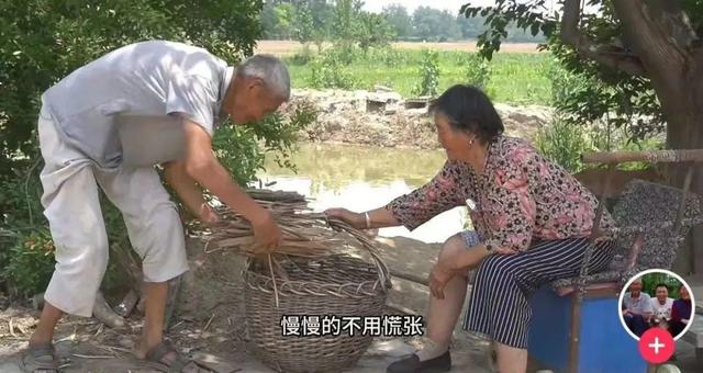 网红凯凯爷爷去世