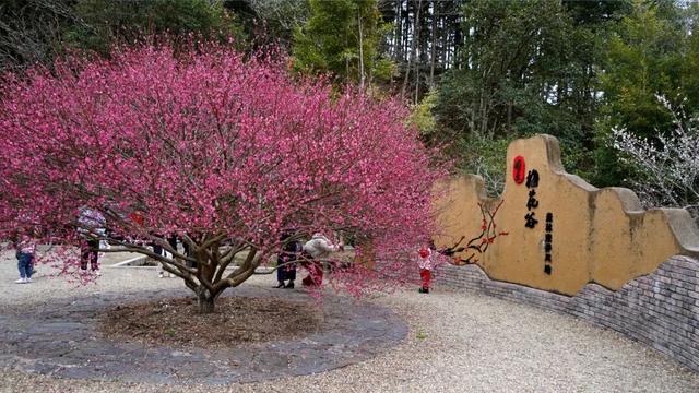 一键变装，我在将乐为你下了一场雪
