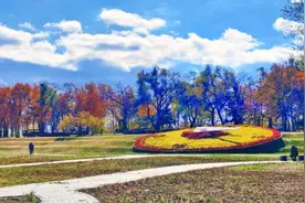 太阳岛风景区：层林尽染美如画图片
