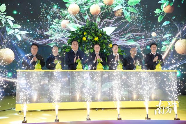 赢柚子、吃柚宴、赏篝火……梅州金柚嘉年华火热启动
