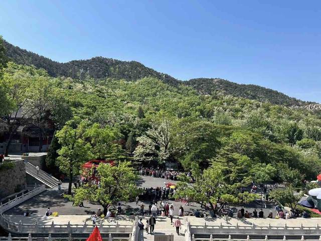 国庆中秋假期客单价提升14.6%，山东的旅游预订量同比去年增长22%