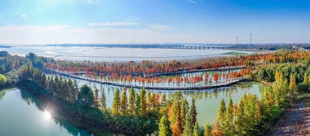 荆州的秋，才是隐藏BOSS！🥰🥰🥰