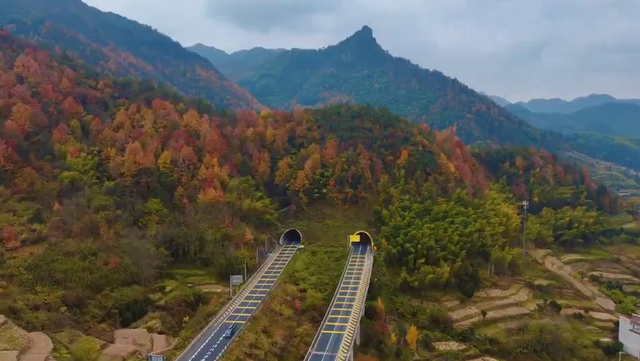 浙里“枫”光正好！多地红叶进入最佳观赏期 解锁秋冬限定浪漫