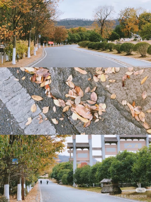 去更高的地方，去有风的地方