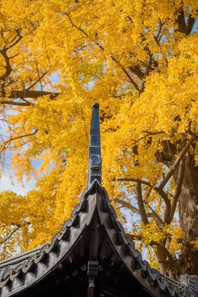 今天，这里挤爆了！