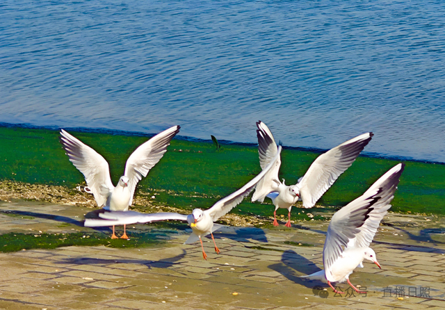 老朋友，又回来了！