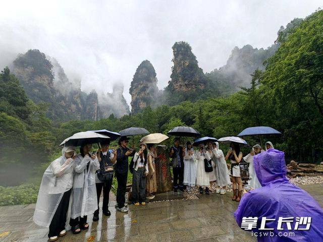 张家界重庆对开始发“周末高铁”，重庆网络达人探秘张家界