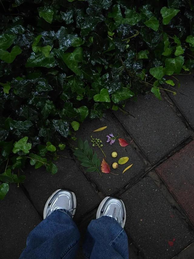 全网一致认定：最短的秋天，才是最贵的奢侈品