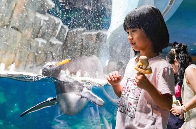超8亿次！这个夏天，大家都在聊“清凉海岛”→