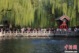 山东济南：市民游客游赏趵突泉图片