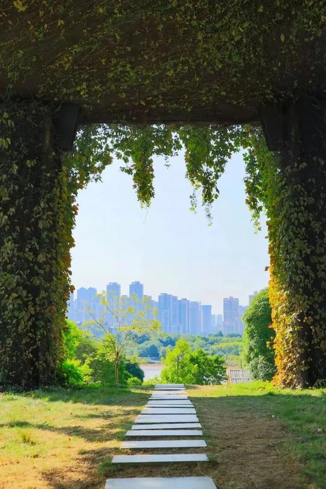 经邕行 | 动车公交化开行！这四个地方打卡超出片！