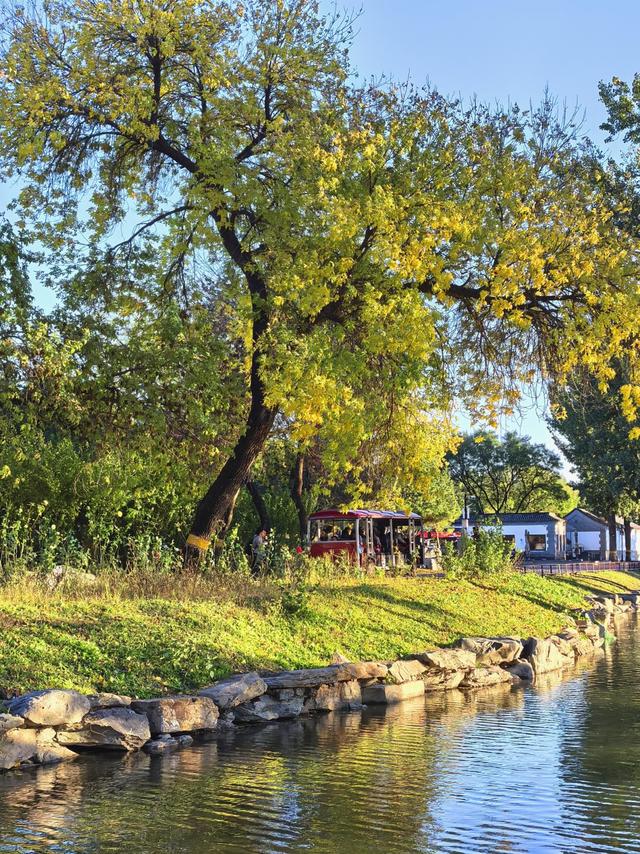 秋光曼妙！圆明园秋日胜春朝