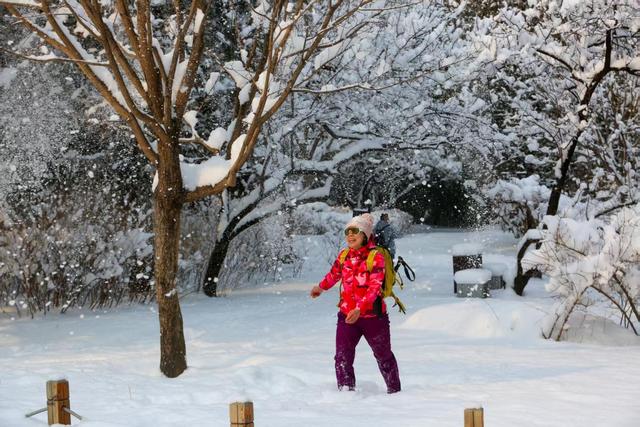 西山晴雪今犹在 香山美景入画来