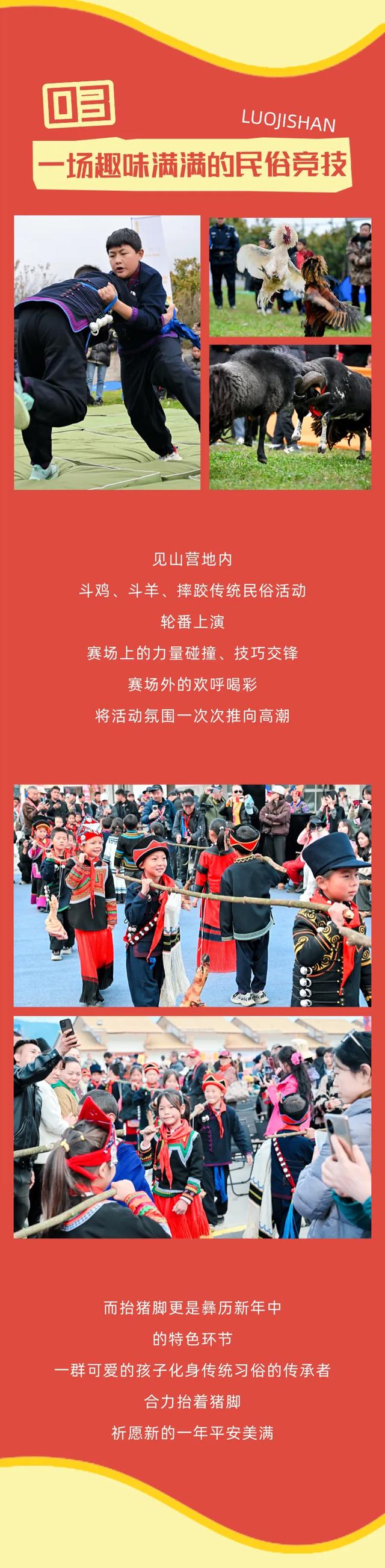 【冬季暖阳 凉山不凉】谁懂啊！在螺髻山过了个彝历新年，不想走！