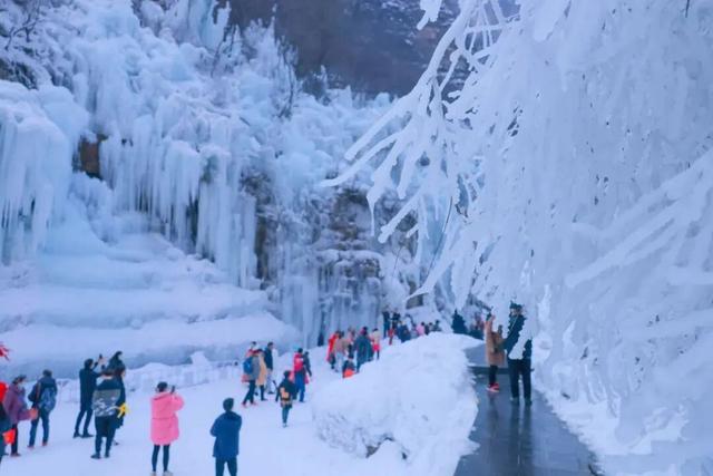 12月1日起，整整三个月！云台山门票半价！