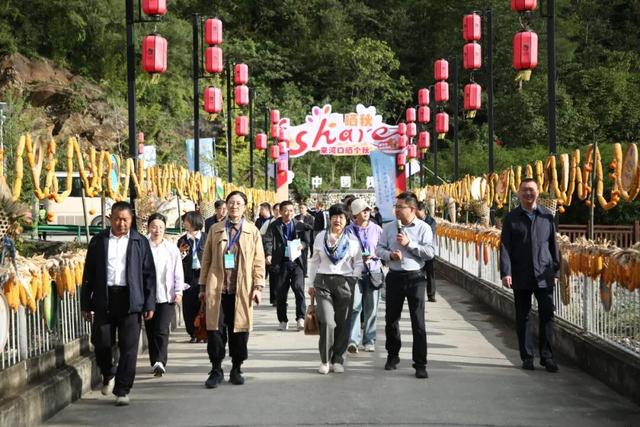 从“晒风景”到“晒生活”，看留坝如何以美学赋能叩开文旅发展新路径