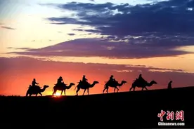 致敬，同路人！图片