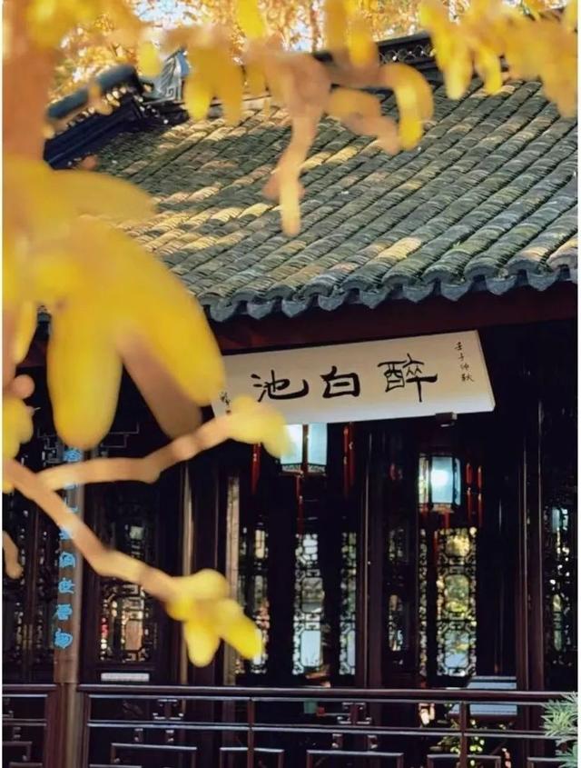 上海人最爱去的秋游胜地，省一大笔“沪币”