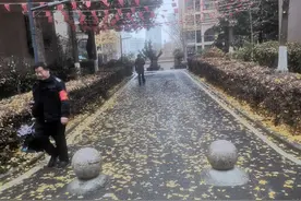 我省发布61条寒潮预警，13日至15日还有一次降水图片