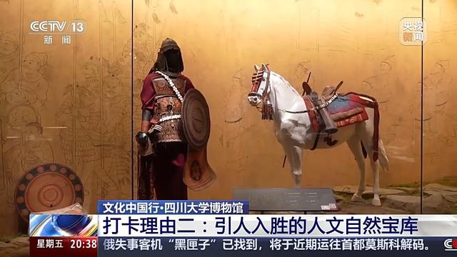 这座博物馆像一部西南“百科全书”，里面有些啥宝藏？