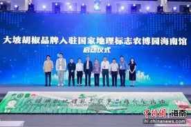 冬交会聚“椒”产业发展 海口签胡椒大单图片