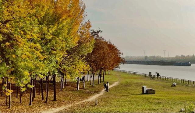 谁说初冬只有萧瑟？来太白湖新区解锁绚烂生机打卡地