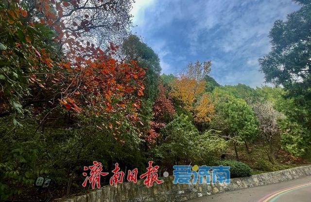 立冬前夕，佛慧山别样引客来