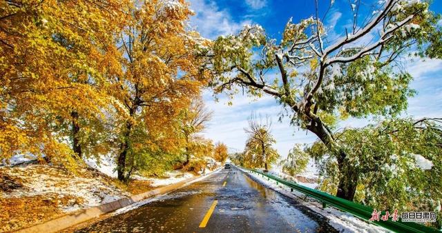 在甘肃，这些秋天仪式感拉满的事，你做了几件？