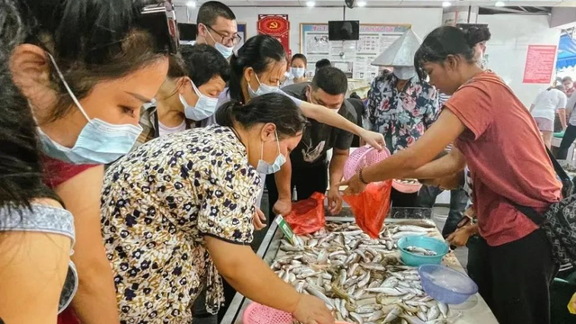 超强攻略！六大活动、六大夜市、九大海鲜市场等你探秘2025北部湾开海节！