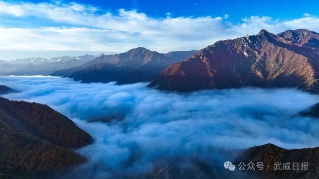 组图｜沿武仙高速 邂逅祁连秋景②