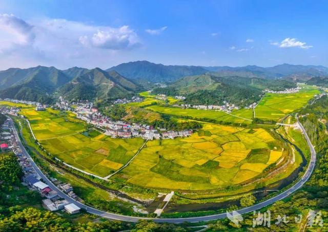 蕲春农村公路的秋藏着田园风光和丰收喜悦