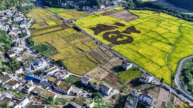黔西南兴义：万峰林里好“丰”景