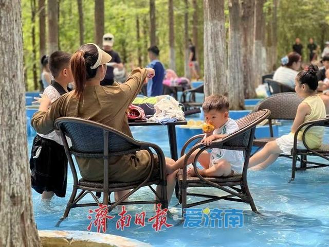 一年四季 泉在济南丨避暑新地标，鲜花港杉林水乐园、杉水间营地开业啦