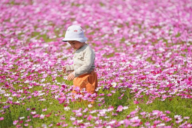千万粉丝博主打卡中山花海：好美！