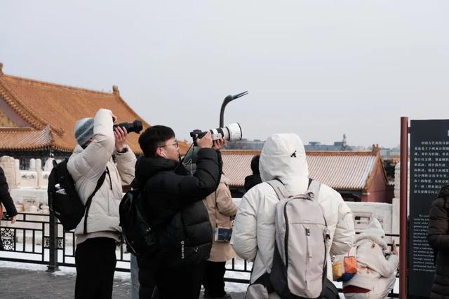 周末，他们涌向故宫，只为一件事