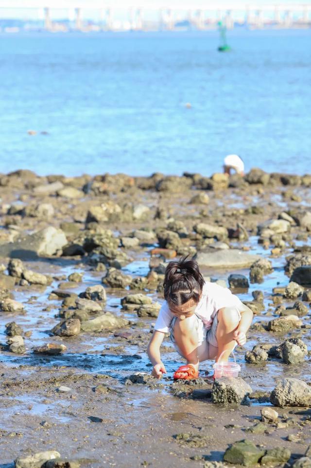 赶海、寻趣！来丰泽打卡这一抹海天蓝！