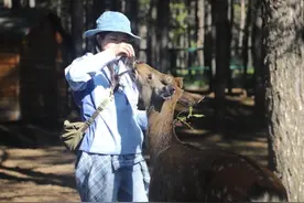 【阿尔山旅游发展】阿尔山秋色撩人，网红达人争相打卡图片
