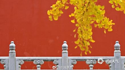 绝美！打卡中山公园秋日视觉盛宴