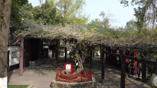 新都明城墙夜景升级！你来打卡没