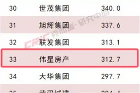 房企·年终盘点｜2024年销售排名逆势跃升！民营房企伟星房产的外拓之路有喜亦有忧图片