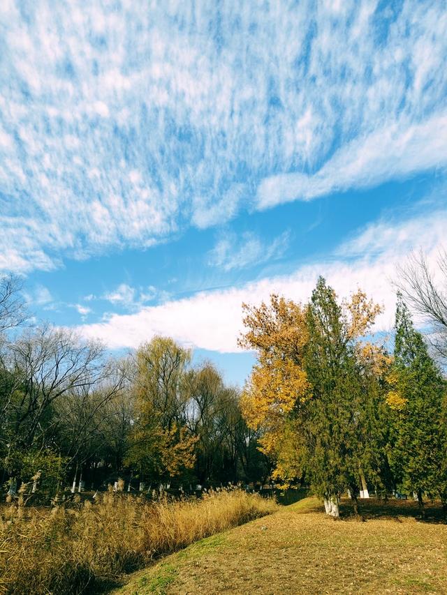 秋深冬浅时，奥森浸染缤纷色彩