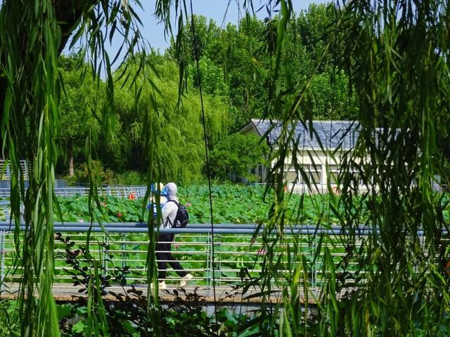 热到融化？来这里立刻降温5℃！