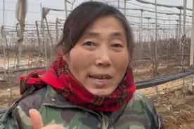 厉害！烟台57岁大姨一口流利英语卖苹果图片