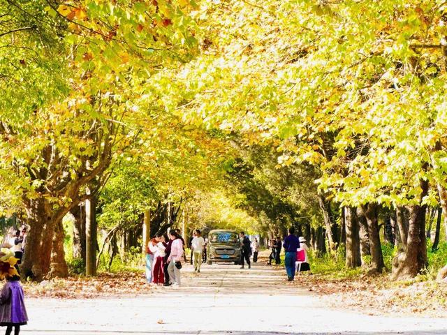 决胜“十四五” 迈上新台阶丨曲靖，一种“始于山水、归于烟火”的生活