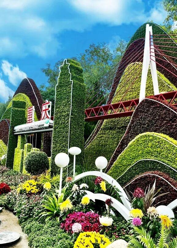 官宣！龙亭菊展延期！