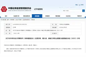 应收账款函证程序不到位等 中审华所及3名相关人员被警示图片