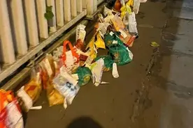 重庆警方通报胖猫事件：谭某与其系恋爱关系，已与其父母和解视频封面