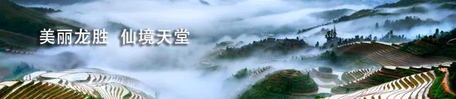 稻香嘉年华丨古早的味道 是我们回到美好时代的味道